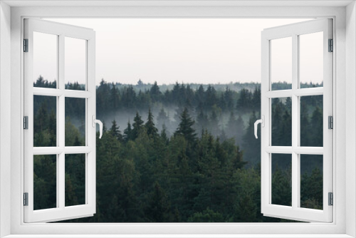 Fototapeta Naklejka Na Ścianę Okno 3D - Panoramic view from the height on dark spruce forest in the fog
