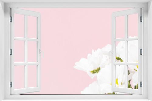 Fototapeta Naklejka Na Ścianę Okno 3D - Composition with white flowers on a pink background
