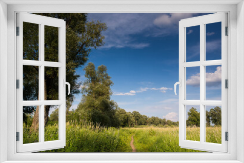 Fototapeta Naklejka Na Ścianę Okno 3D - the beautiful green trees and path in a green field in summer and blue sky with clouds