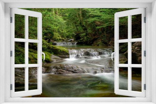 Fototapeta Naklejka Na Ścianę Okno 3D - River flowing up in dark forest