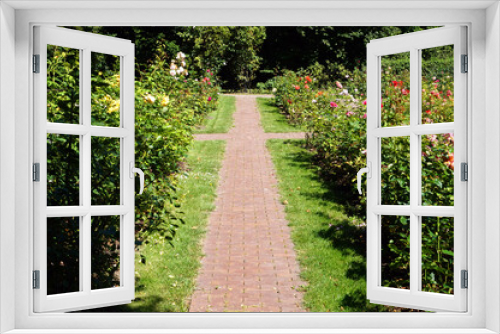Fototapeta Naklejka Na Ścianę Okno 3D - Path in garden, roses flowers