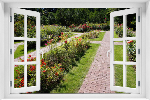 Fototapeta Naklejka Na Ścianę Okno 3D - Path in garden, roses flowers