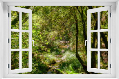 Fototapeta Naklejka Na Ścianę Okno 3D - Bosques de Mortagua
