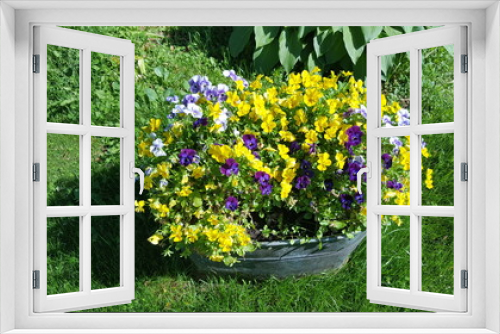 Fototapeta Naklejka Na Ścianę Okno 3D - grass and flowers