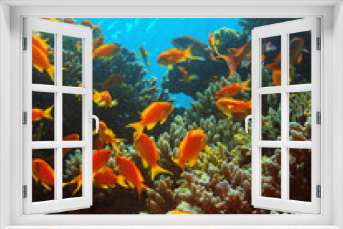 Fototapeta Naklejka Na Ścianę Okno 3D - Red Sea
