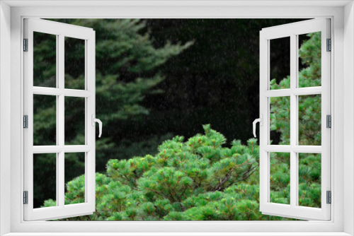 Fototapeta Naklejka Na Ścianę Okno 3D - 日本庭園