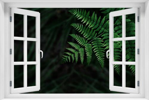 Fototapeta Naklejka Na Ścianę Okno 3D - Dark green fern leaves background