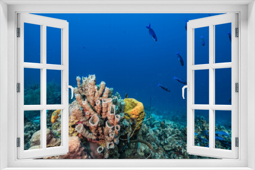 Fototapeta Naklejka Na Ścianę Okno 3D - Seascape in turquoise water of coral reef in Caribbean Sea / Curacao with fish, coral and Vase Sponge