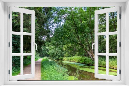 Fototapeta Naklejka Na Ścianę Okno 3D - Calm floating creek with crystal clear water and idyllic scenery for a hiking tour along the waterway to relax and enjoy the nature through a green forest and a scenic wilderness with fresh air
