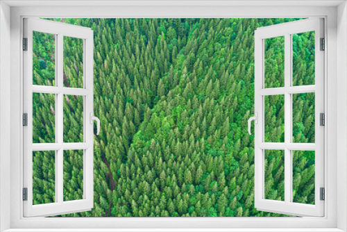 Fototapeta Naklejka Na Ścianę Okno 3D - Coniferous forest. Spruce mountain forest from a bird's eye view. Photo from the drone.