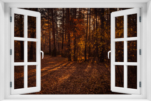 Fototapeta Naklejka Na Ścianę Okno 3D - autumn forest road