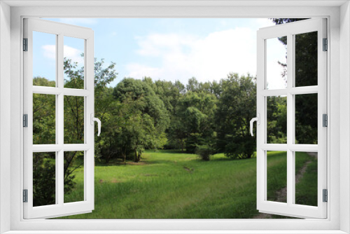 Fototapeta Naklejka Na Ścianę Okno 3D - 田舎の野原の風景