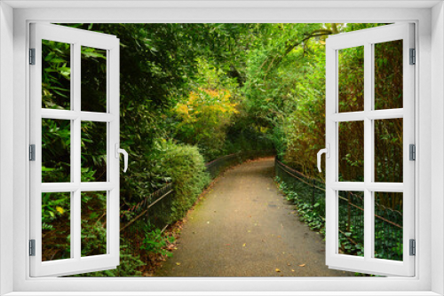 Fototapeta Naklejka Na Ścianę Okno 3D - pathway in a park with overgrowth from both sides