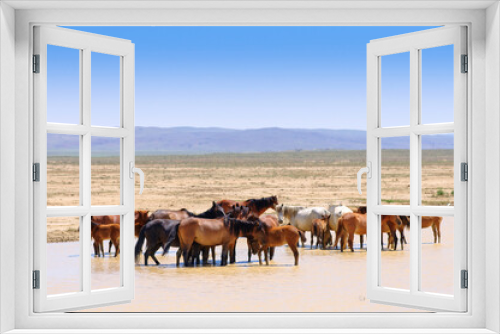 Fototapeta Naklejka Na Ścianę Okno 3D - Herd of horses, escapes from the heat.