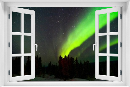 Fototapeta Naklejka Na Ścianę Okno 3D - Green northern lights in Fairbanks Alaska 