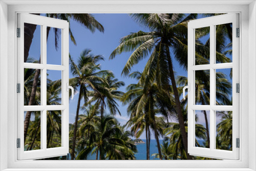Fototapeta Naklejka Na Ścianę Okno 3D - palm trees with the heaven in the background