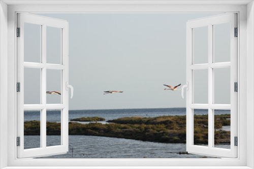 Fototapeta Naklejka Na Ścianę Okno 3D - flamencos volando y en un humedal del delta del ebro