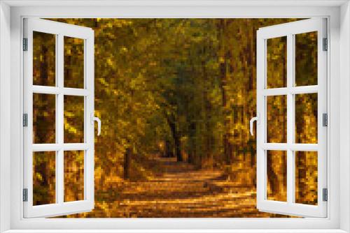 Fototapeta Naklejka Na Ścianę Okno 3D - orton forest pathway forest trees