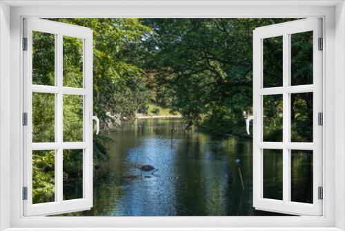 Fototapeta Naklejka Na Ścianę Okno 3D - Views around Botanic Gardens, Southport, Merseyside, UK. August 2020.