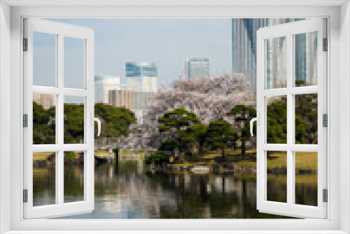 Fototapeta Naklejka Na Ścianę Okno 3D - Hamarikyu Gardens in Tokyo, Japan