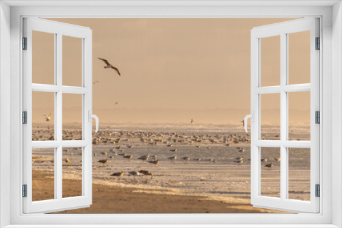 Fototapeta Naklejka Na Ścianę Okno 3D - La plage de Quend-Plage en fin de journée