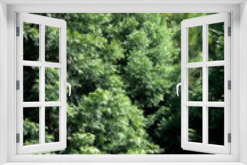 Fototapeta Naklejka Na Ścianę Okno 3D - Bosque