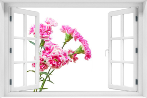Fototapeta Naklejka Na Ścianę Okno 3D - カーネーションの花束