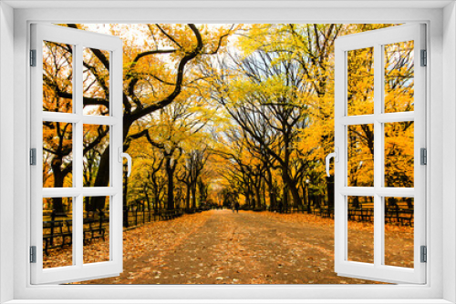 Fototapeta Naklejka Na Ścianę Okno 3D - Autumn in Central Park