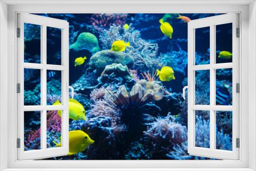 Fototapeta Naklejka Na Ścianę Okno 3D - Coral reef and fish underwater photo. Underwater world scene.