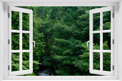 Fototapeta Naklejka Na Ścianę Okno 3D - 烏川渓谷緑地 生い茂る木々