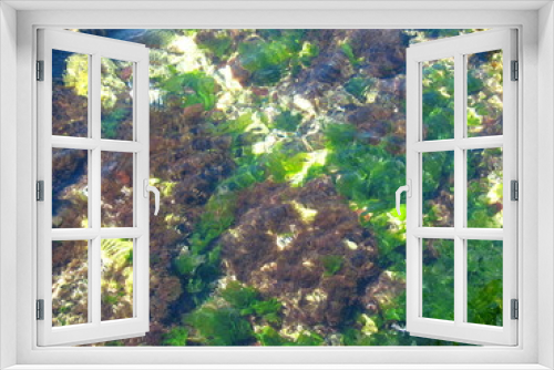 Fototapeta Naklejka Na Ścianę Okno 3D - Underwater
