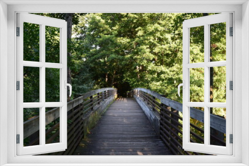 Fototapeta Naklejka Na Ścianę Okno 3D - Wooden bridge surrounded by trees in a park