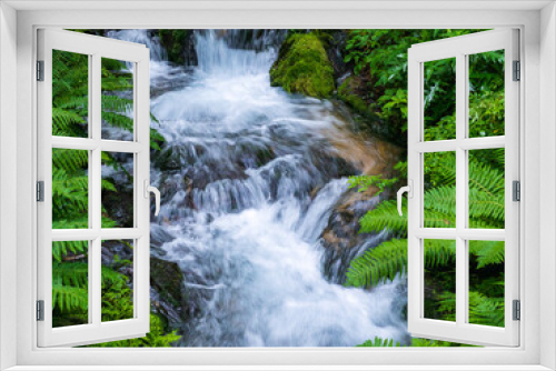 Fototapeta Naklejka Na Ścianę Okno 3D - 長野県の観光名所の白糸の滝の近くの川の流れ