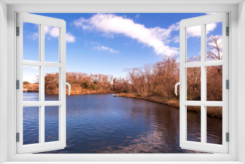 Fototapeta Naklejka Na Ścianę Okno 3D - The lake landscape in spring on the background of green grass and tree.