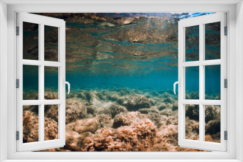 Fototapeta Naklejka Na Ścianę Okno 3D - Underwater view with stones and seaweed in transparent sea. Sunlight in ocean