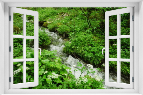 Fototapeta Naklejka Na Ścianę Okno 3D - Wasserfälle Slowenien