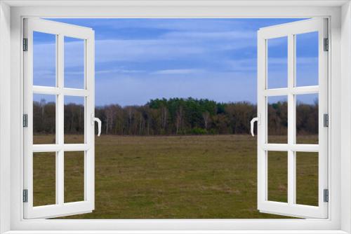 Fototapeta Naklejka Na Ścianę Okno 3D - Blue sky over the forest on a cool spring evening. Field.