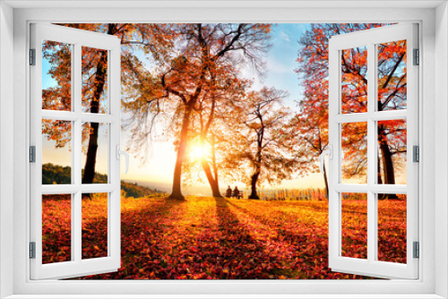 Fototapeta Naklejka Na Ścianę Okno 3D - Autumn scenery with gold sunlight in a park, with blue sky, the sun, trees casting shadows as leading lines and lots of red foliage