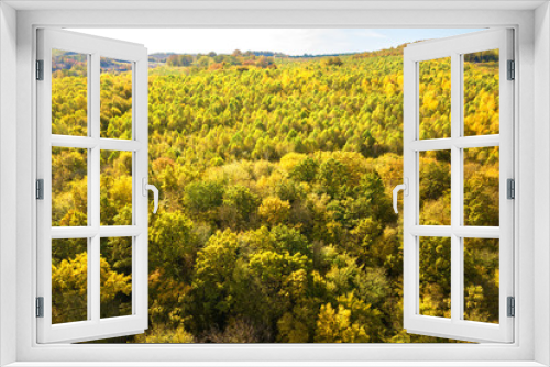 Fototapeta Naklejka Na Ścianę Okno 3D - Top down aerial view of green and yellow canopies in autumn forest with many fresh trees.