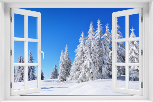 Fototapeta Naklejka Na Ścianę Okno 3D - Beautiful landscape on the cold winter morning. Pine trees in the snowdrifts. Lawn and forests. Snowy background. Nature scenery. Location place the Carpathian, Ukraine, Europe.