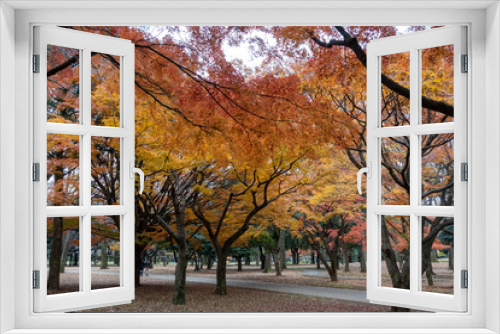 Fototapeta Naklejka Na Ścianę Okno 3D - 代々木公園