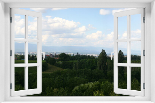 Fototapeta Naklejka Na Ścianę Okno 3D - Geneva Wineyard Country Landscape