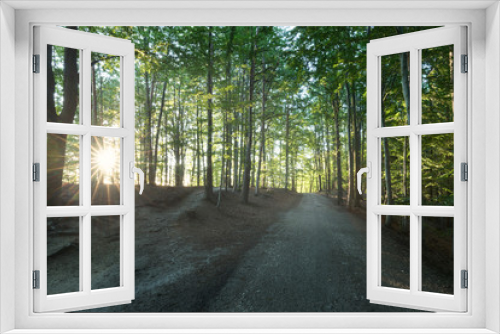 Fototapeta Naklejka Na Ścianę Okno 3D - Beautiful forest way road. Summer day landscape background. Hiking concept. The sun is shining among trees. Sunrise in national park. Picturesque nature.