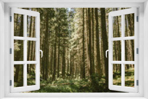 Fototapeta Naklejka Na Ścianę Okno 3D - A tree in a forest