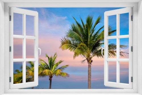 Fototapeta Naklejka Na Ścianę Okno 3D - Sunset and Palm Trees, Key West Florida
