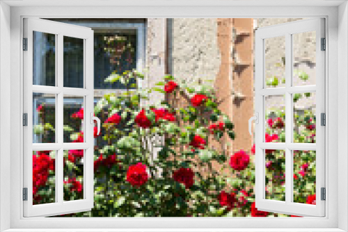 Fototapeta Naklejka Na Ścianę Okno 3D - cottage with beautiful red roses around the door