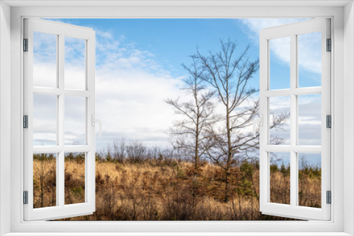 Fototapeta Naklejka Na Ścianę Okno 3D - Tree in the field