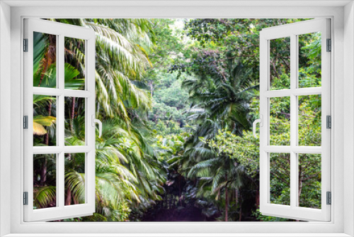Fototapeta Naklejka Na Ścianę Okno 3D - Tropical vegetation in the Seychelles