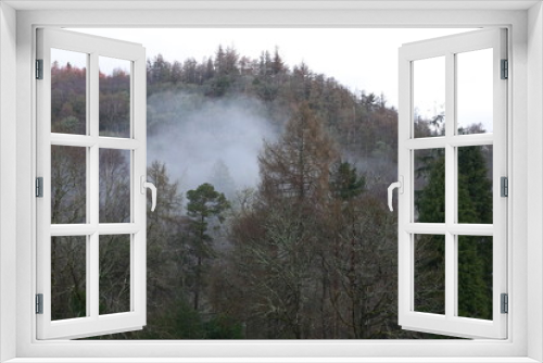 Fototapeta Naklejka Na Ścianę Okno 3D - Misty trees in the Welsh countryside. 