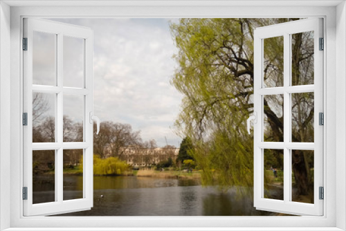 Fototapeta Naklejka Na Ścianę Okno 3D - Amazing salix babylonica Tree in a lake in a park in London